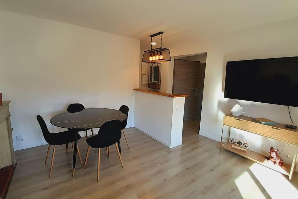 Lumineux Et Apartment